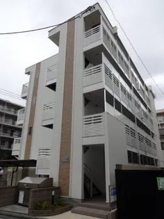 リモーネVIIIの画像