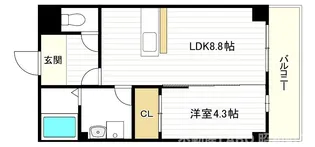 THECOLORRESIDENCE【3階】の間取り