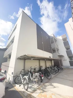 イゾラ フォルトゥーナの画像