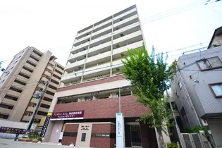 サンセリテ至誠会松崎町【8階】の外観