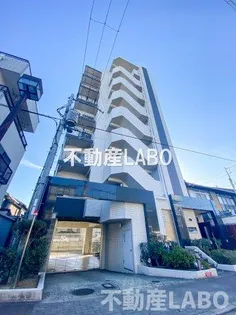 ルシール田辺の画像