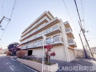 グランエトワールの画像