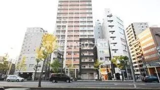 BRAVI南堀江【11階】の外観