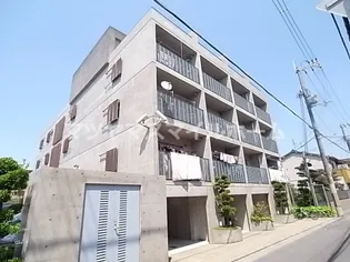 STEP Yの画像
