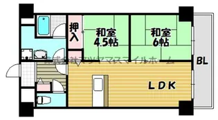 グレイスコート【505号室】の間取り