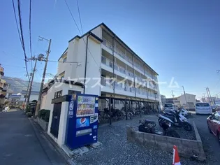 親和ハイツ【110号室】の外観