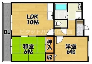 パラドリームIB【603号室】の間取り