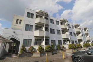 シングルパラード24の画像