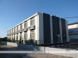 レオネクストチャコルルの画像