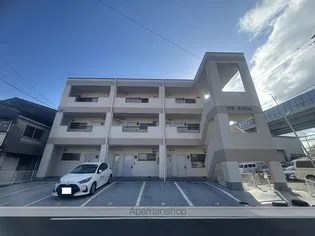 プチキャロルの画像