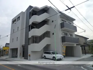 サンフローラの画像