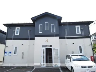 ヴィオラⅡの画像