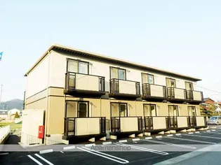 カメリアパルの画像