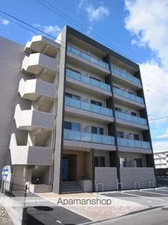 ココリ柏木の画像