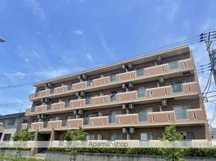 スタースクエアの画像