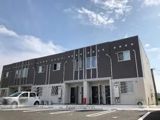 プラムブロッサムの画像
