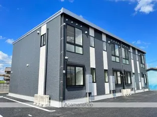 ステラートIIIの画像