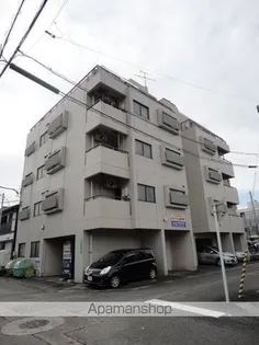 RAIZ星井の画像