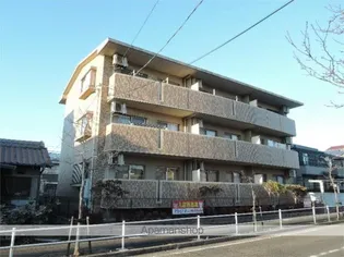 グラツィアの画像