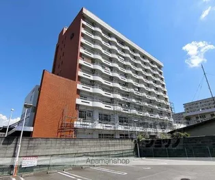 グリシーヌ京都西京極の画像