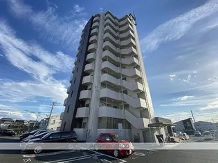 サクシードの画像