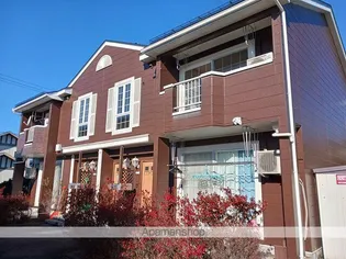 サンフラワー24の画像