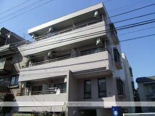 エルヴィーナ中村橋の画像