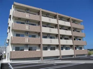 ユーミーなでしこIIの画像