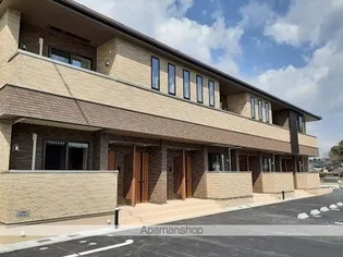 エヴァーグリーンの画像