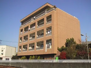 ルペール ネコザネの画像