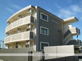 メローネクィーンの画像