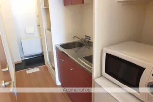 レオパレスウィステリアⅢ【301号室】のその他画像