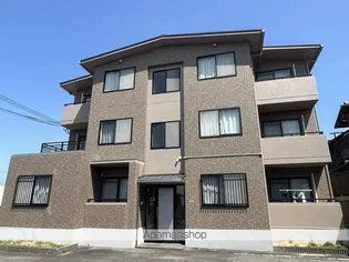 コモドヴィータの画像