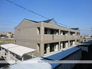 イマージュの画像