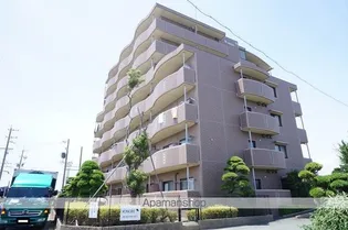 コスモスの画像