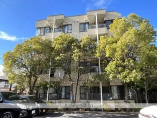 ロイヤルレゾンの画像