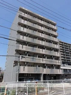 プリムローズの画像