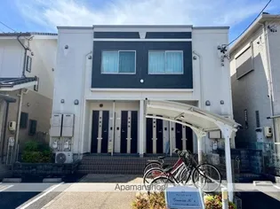 グレーシア ケーズの画像