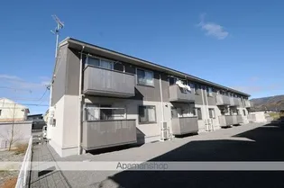 プラシードの画像