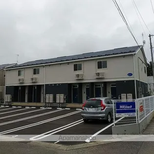 ブルームーン シルバームーン ゴールドムーンの画像