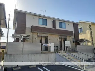 アレグリア コーヨーの画像