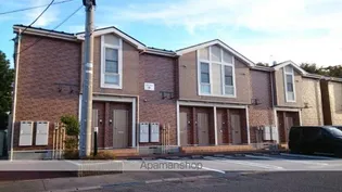 クレスト檜の画像