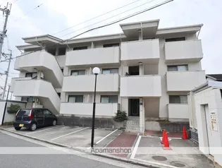 エクセルサツキの画像