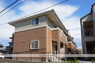 サウス メディオの画像