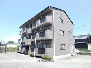 グレースエティカの画像