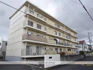 スカイハイツ(小柿)【3階】の外観