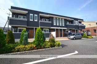 ダイアンサスの画像