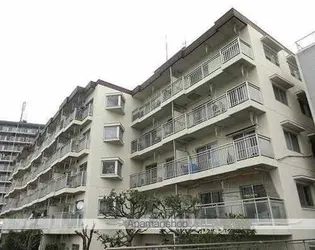 ルネ立石の画像