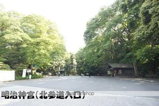 クインテット原宿【3階】の周辺