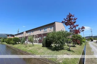 スターライトハイツA棟の画像